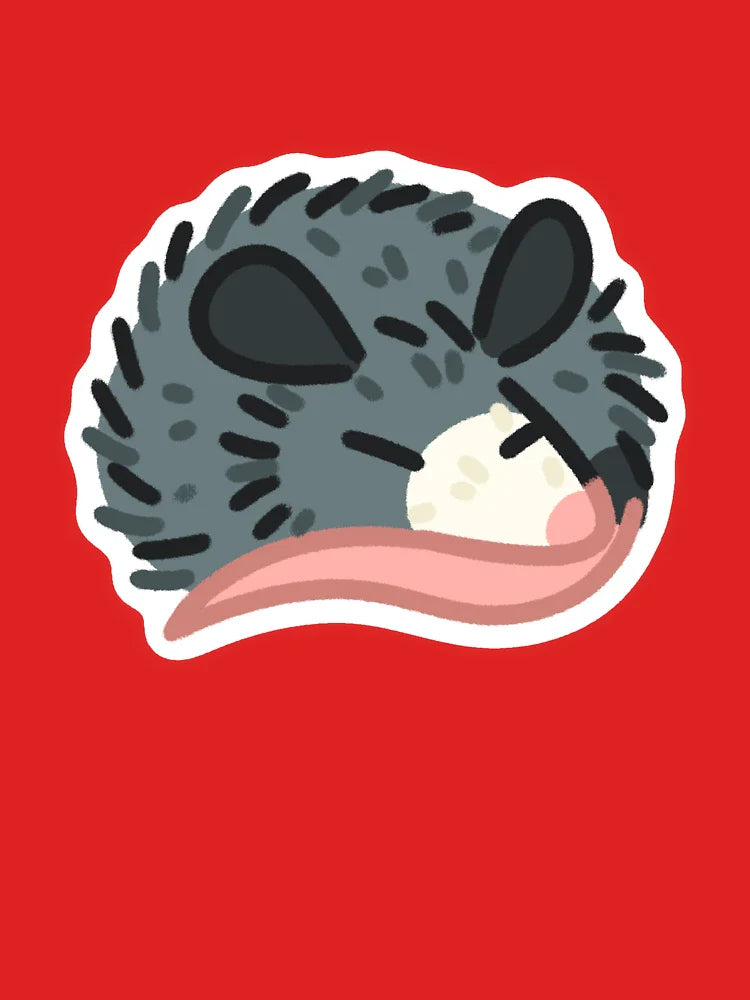 Sleepy Opossum Classic T-Shirt