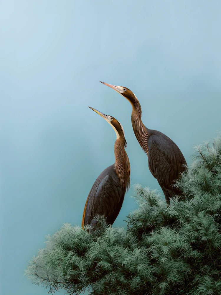 Blue Herons Print Japanese Bird Wall Art Wildlife Birds Sage Green Forest Painting japandi chinoiserie poster Classic T-Shirt