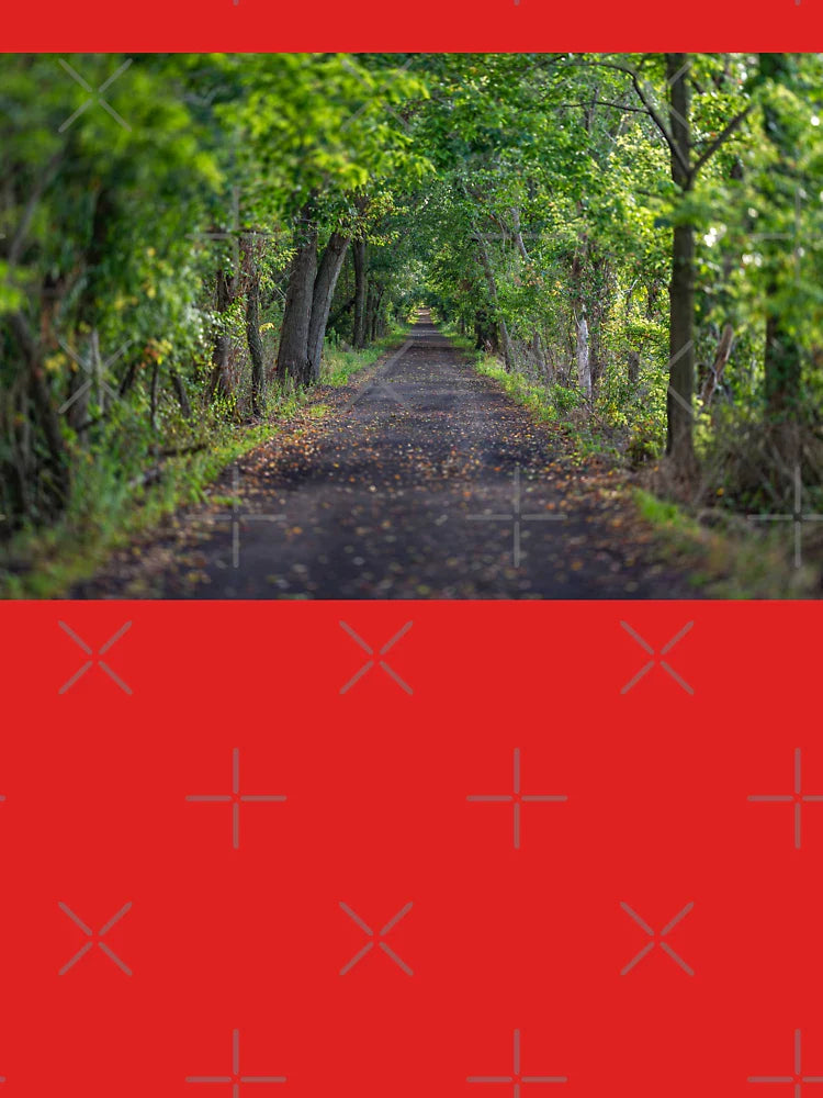 A Hiking Trail Leading into the Green Woods Classic T-Shirt