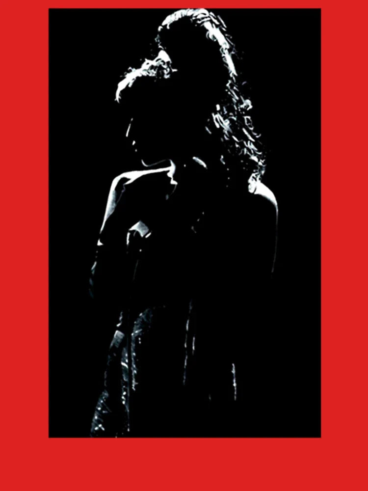 amy winehouse       Classic T-Shirt