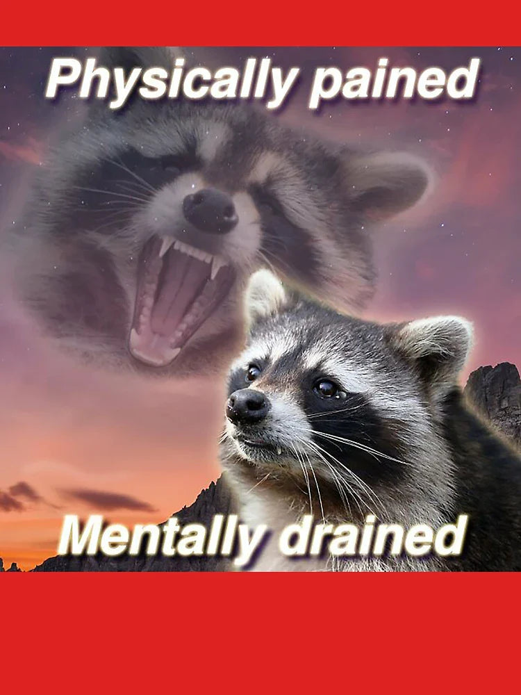 Racoon Meme Classic T-Shirt