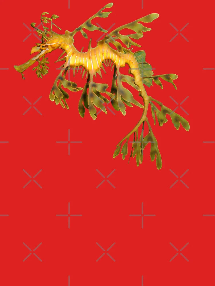 Leafy Seadragon Ocean Sea Dragon Seahorse beautiful sea creature Classic T-Shirt