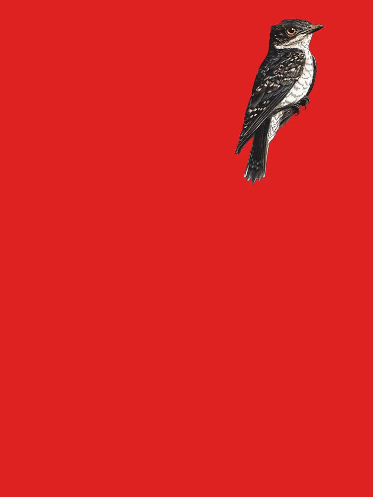 Common Nighthawk Majestic Bird Classic T-Shirt