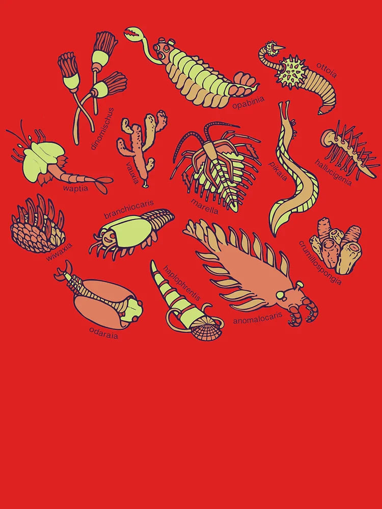 Cambrian Critters Classic T-Shirt