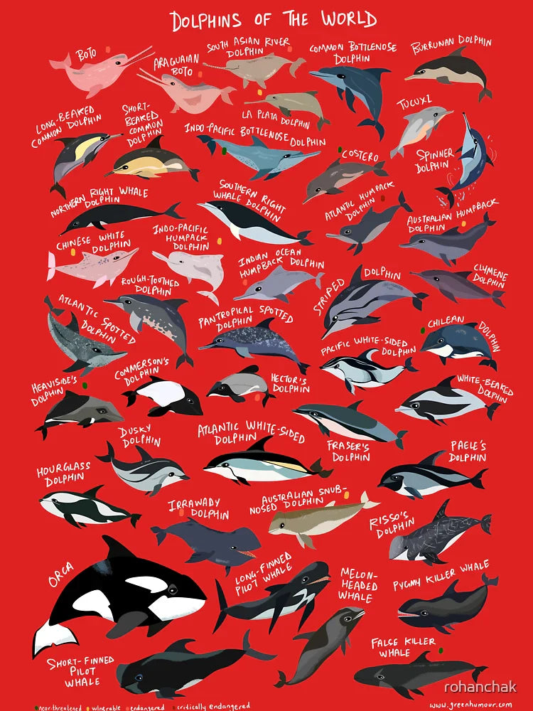 Dolphins of the World Classic T-Shirt