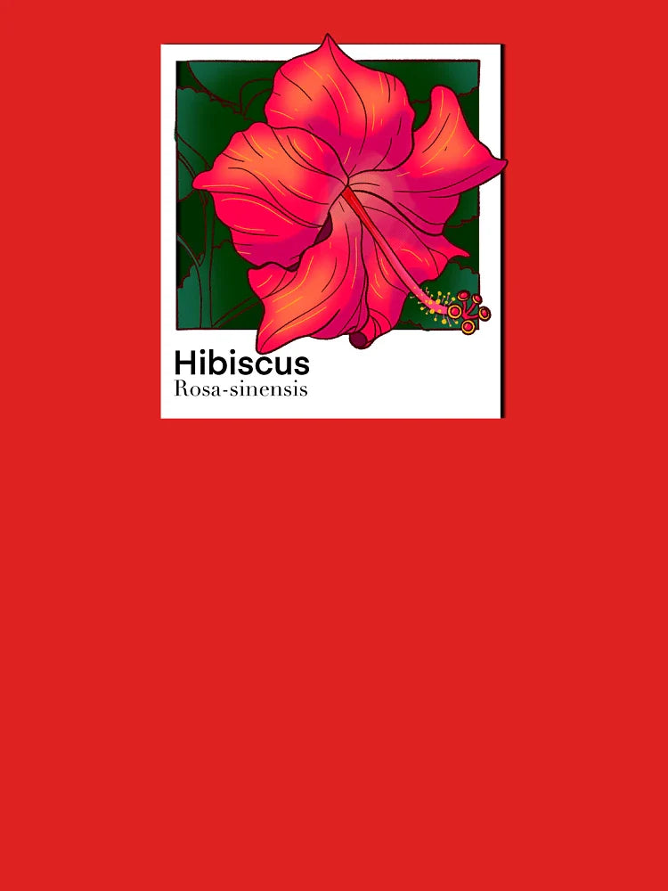 Hibiscus Rosa-sinensis flower bloom Classic T-Shirt