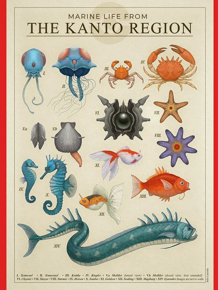 Marine Life from Kanto Classic T-Shirt