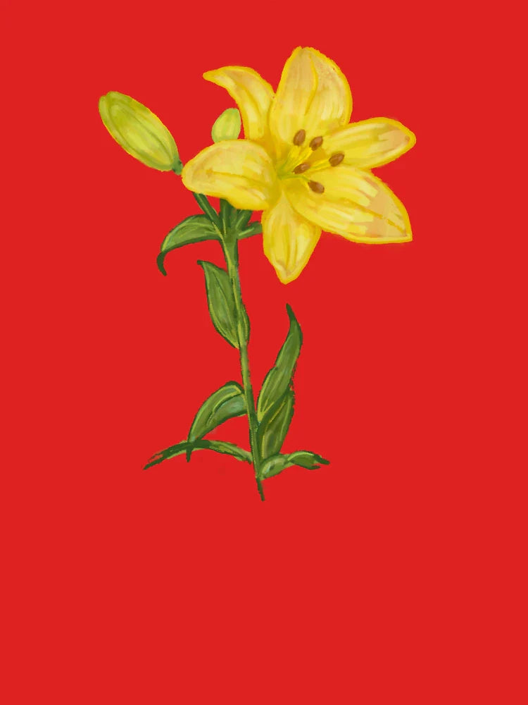 yellow lily flower Classic T-Shirt
