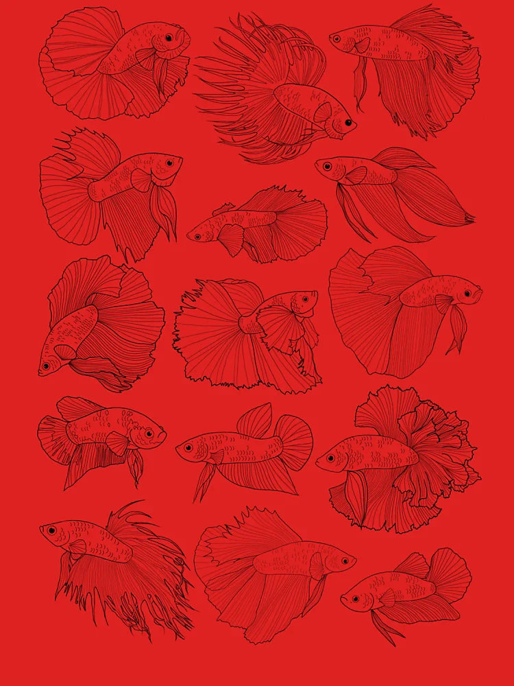 Betta Tail Types pattern  Classic T-Shirt