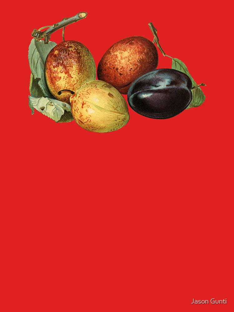 Vintage Style Assorted Plums Still Life Classic T-Shirt