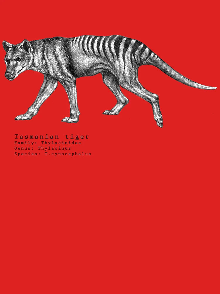 Tasmanian tiger  Classic T-Shirt
