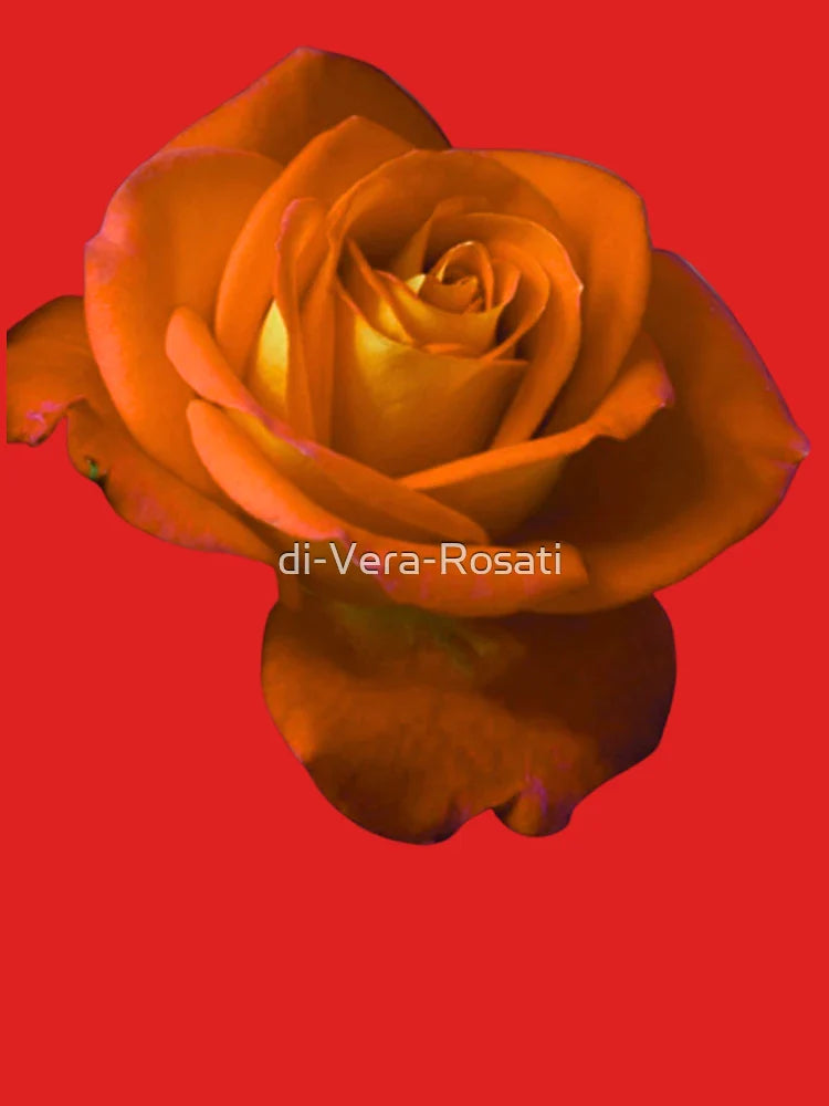 Orange rose Classic T-Shirt