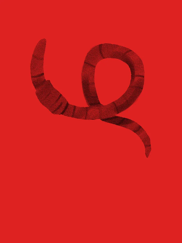 Curly Worm  Classic T-Shirt