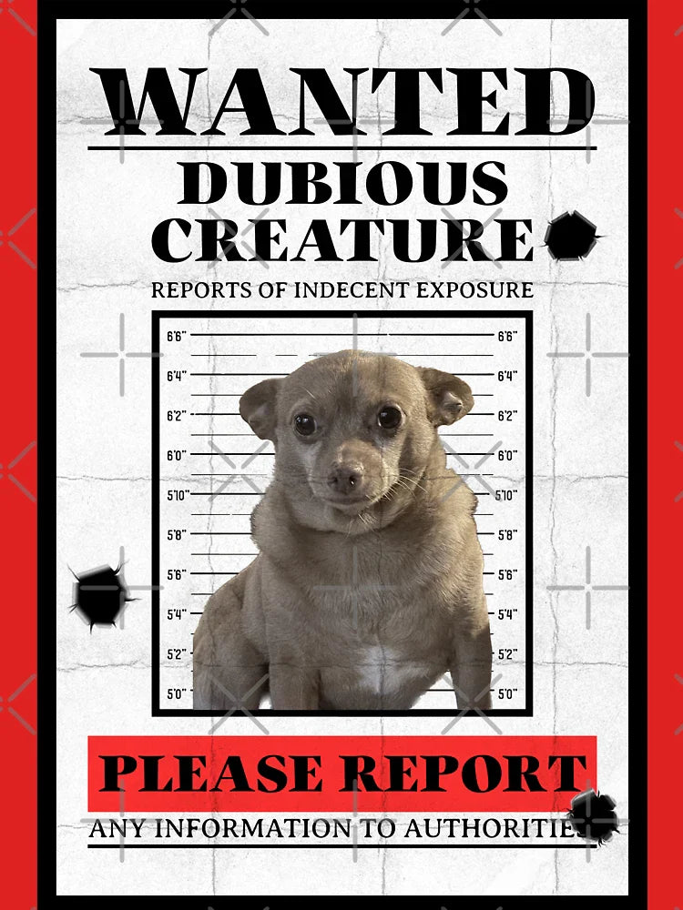 Dubious Mouse Classic T-Shirt