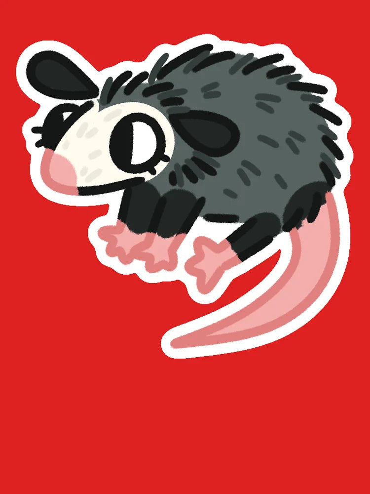 Opossum(1) Classic T-Shirt