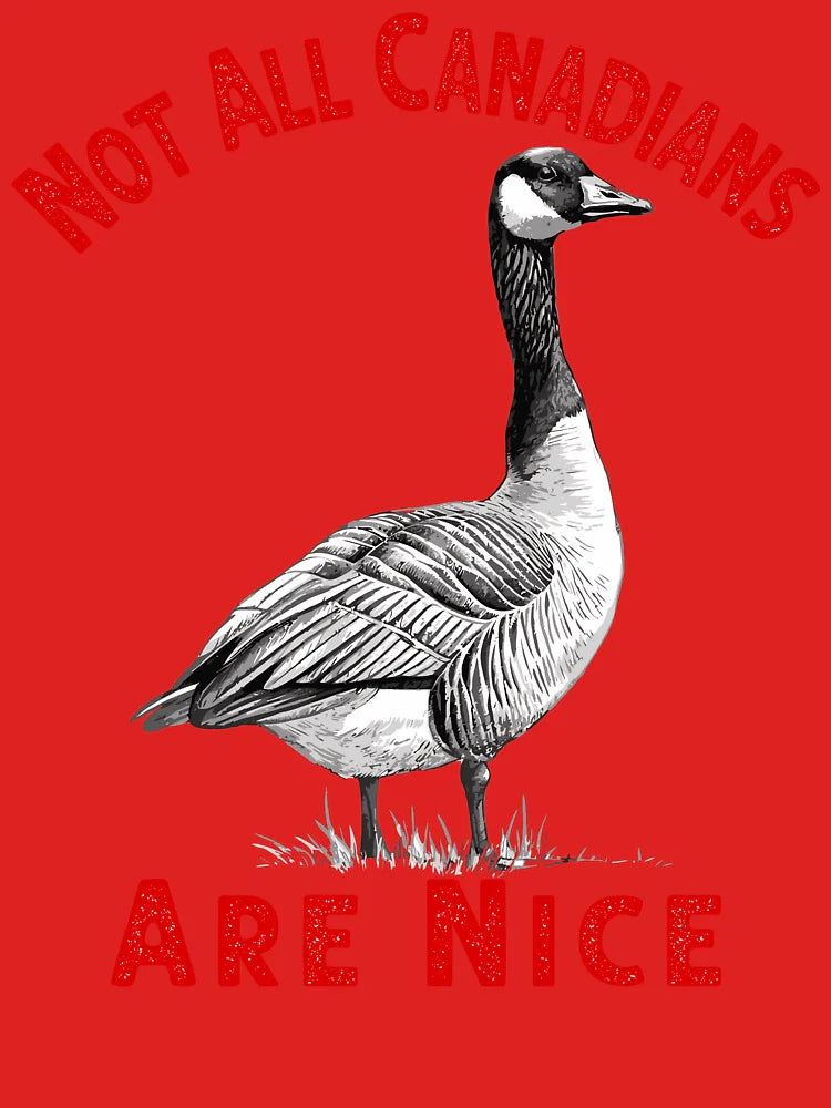 Not All Canadians Are Nice Classic T-Shirt