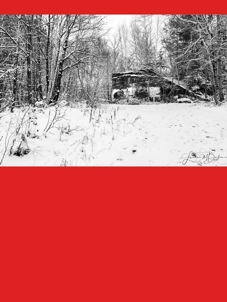 Winter peace Classic T-Shirt