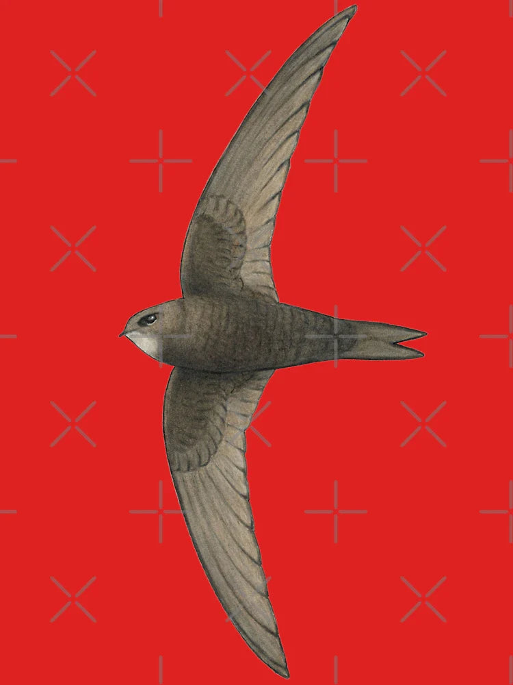 Common Swift Classic T-Shirt