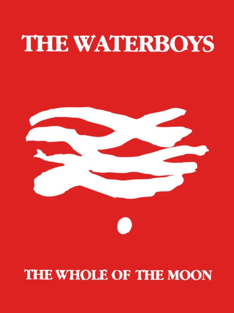 BEST SELLING The Waterboys Merchandise Classic T-Shirt