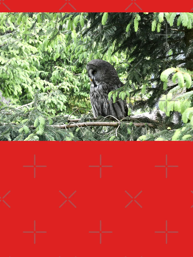 Great Grey Owl 3 / Swiss Artwork Photography Classic T-Shirt