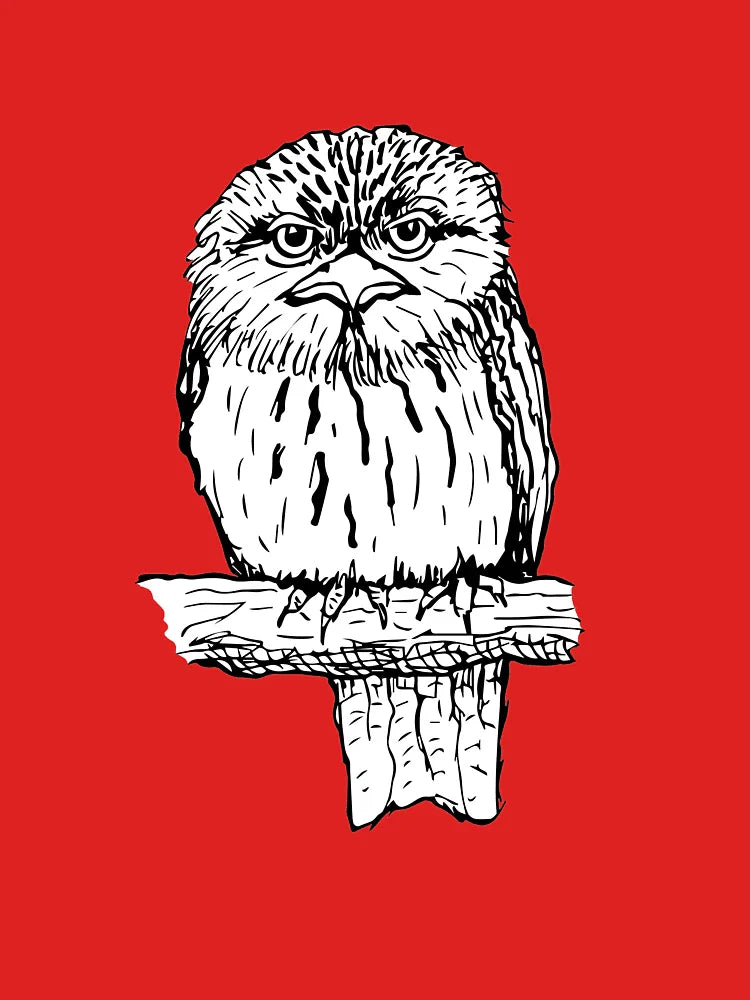 Tawny Frogmouth - Raising funds for BirdLife Australia Classic T-Shirt