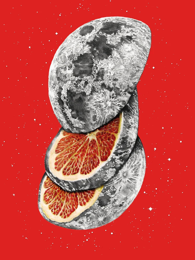 LUNAR FRUIT Classic T-Shirt