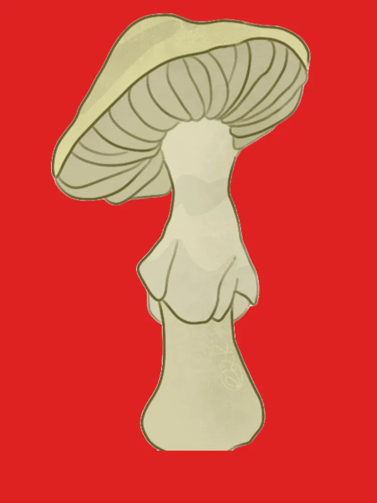 mushroom (4) Classic T-Shirt