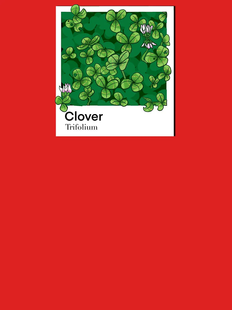 clover trifolium leafy floral green Classic T-Shirt