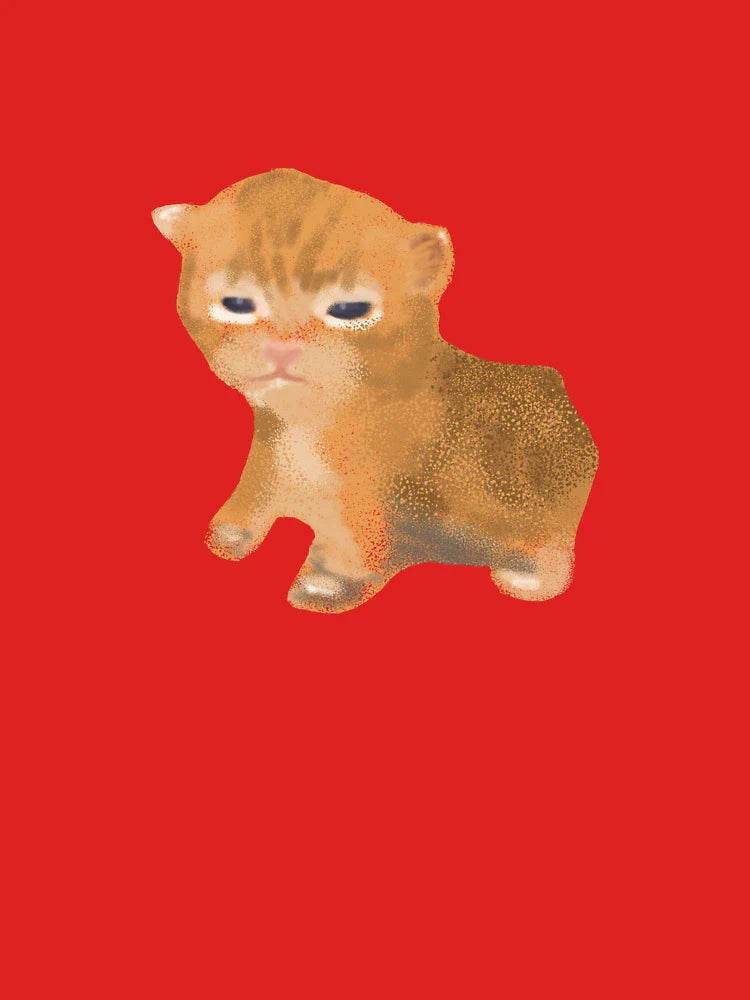kittyyy :3 Classic T-Shirt
