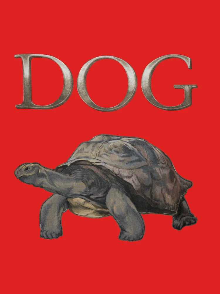 ELDEN RING DOG Classic T-Shirt