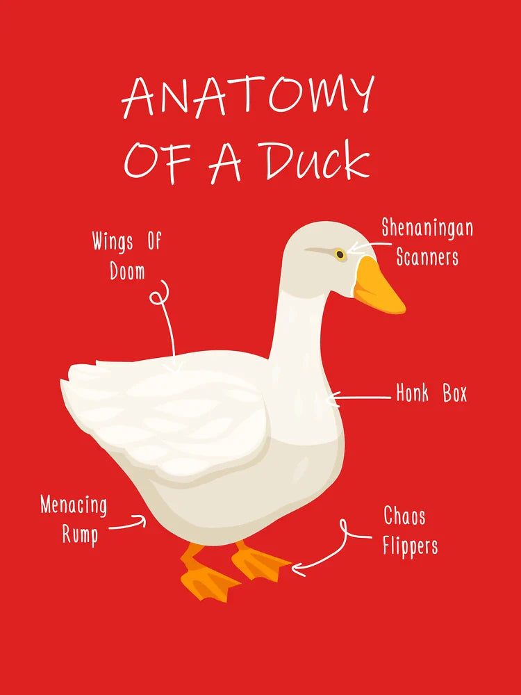 Anatomy of a Duck Classic T-Shirt