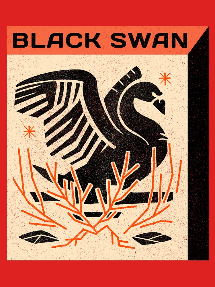 Black Swan Nassim Taleb Classic T-Shirt