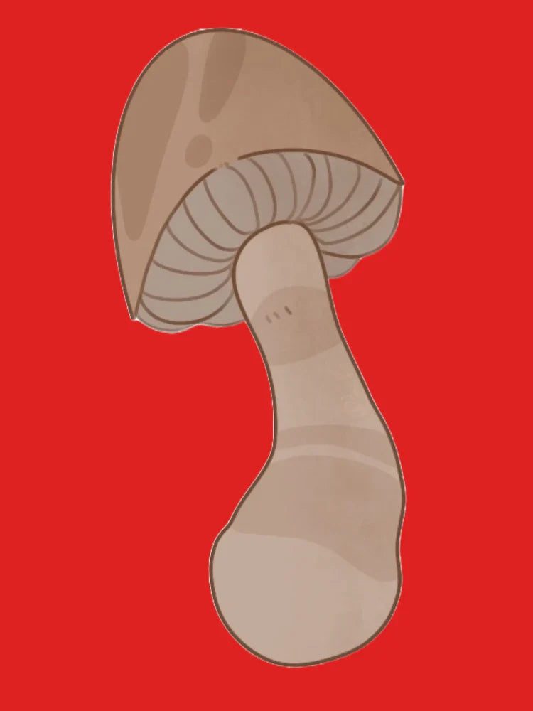 mushroom (6) Classic T-Shirt