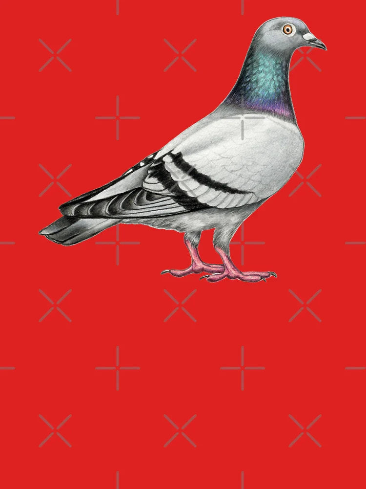 Pigeon Classic T-Shirt