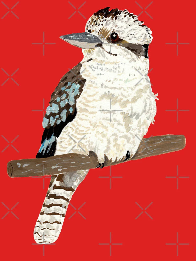kookaburra  Classic T-Shirt