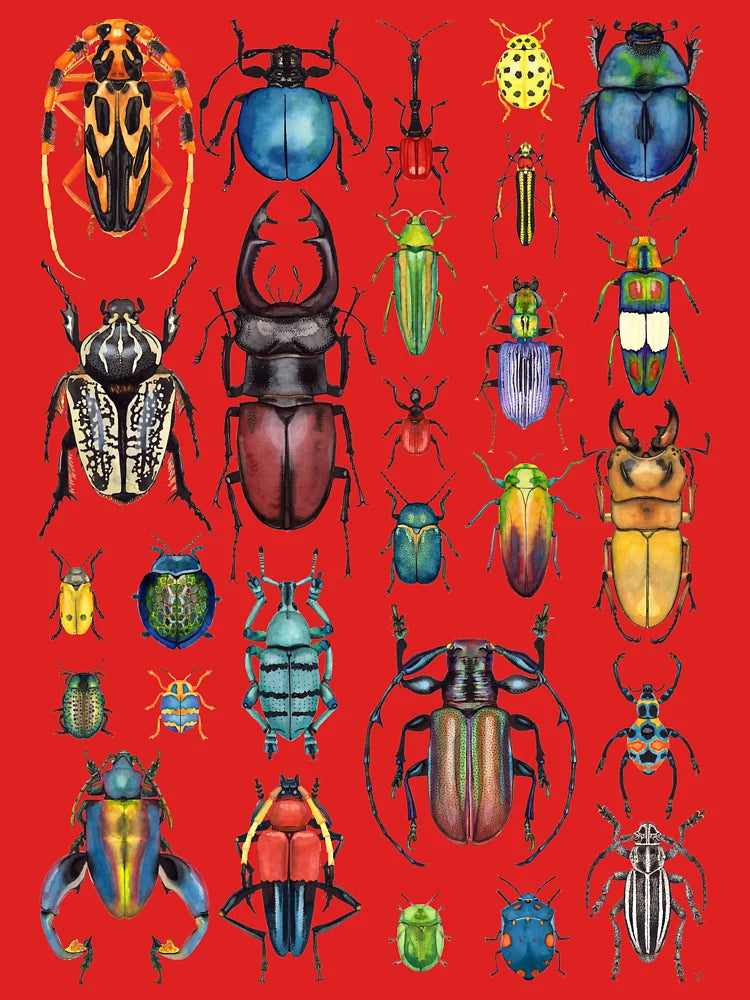 Beetle Collection Classic T-Shirt