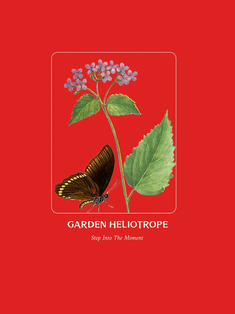 Step Into the Present Moment - Butterfly and Flower Design Classic T-Shirt