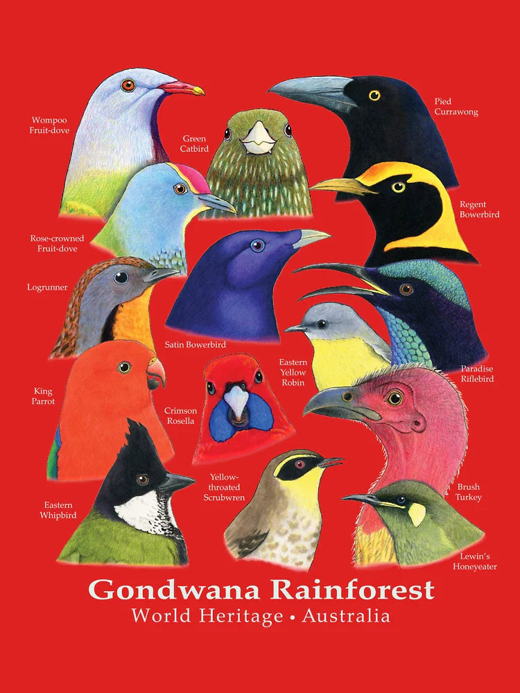 Gondwana Rainforest Birds of Australia - Raising funds for BirdLife Australia Classic T-Shirt