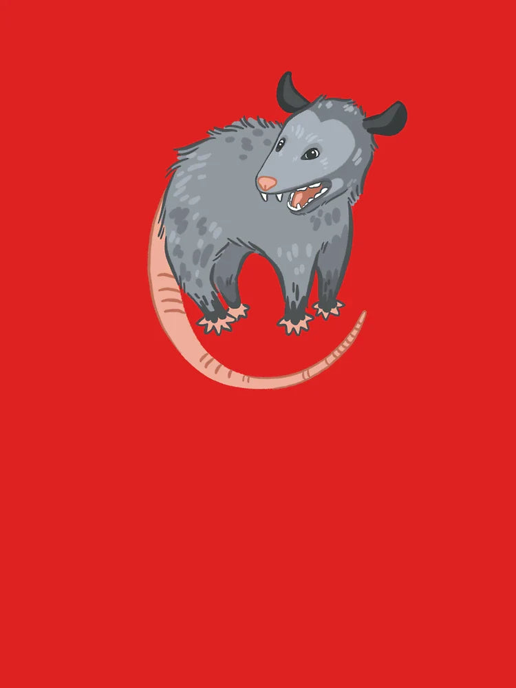Little Possum Classic T-Shirt