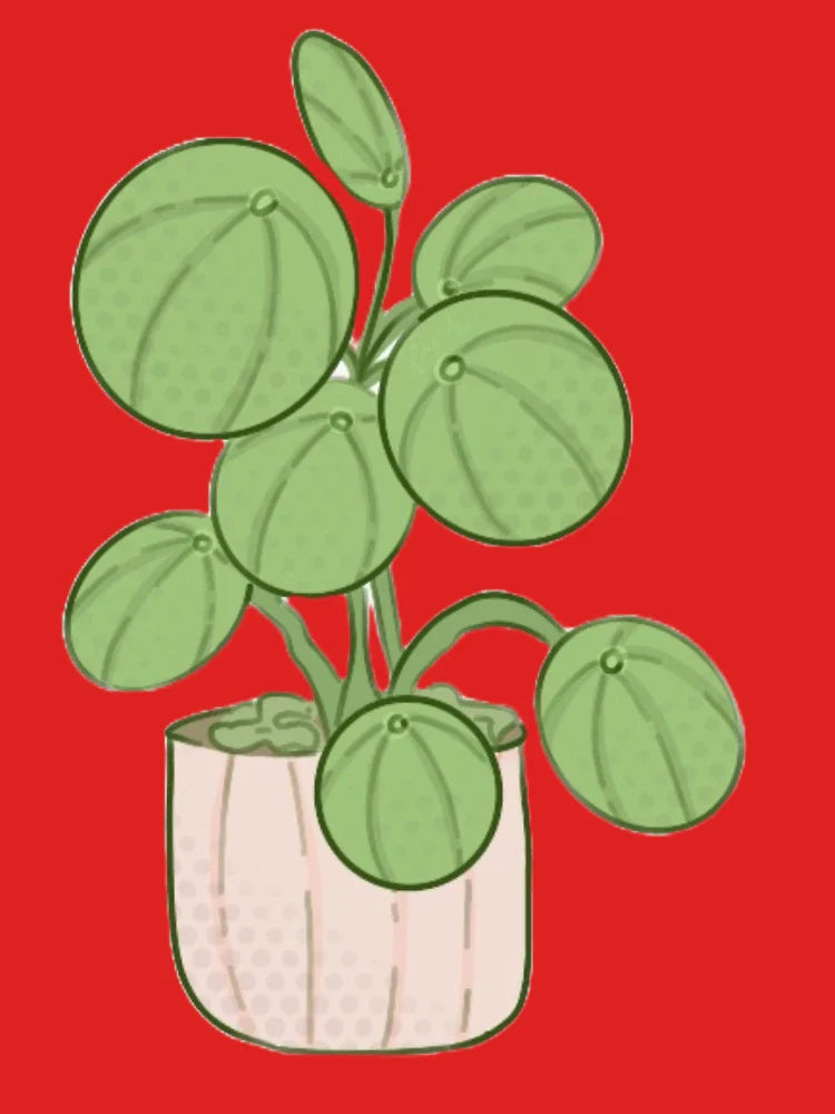 houseplant (1) Classic T-Shirt