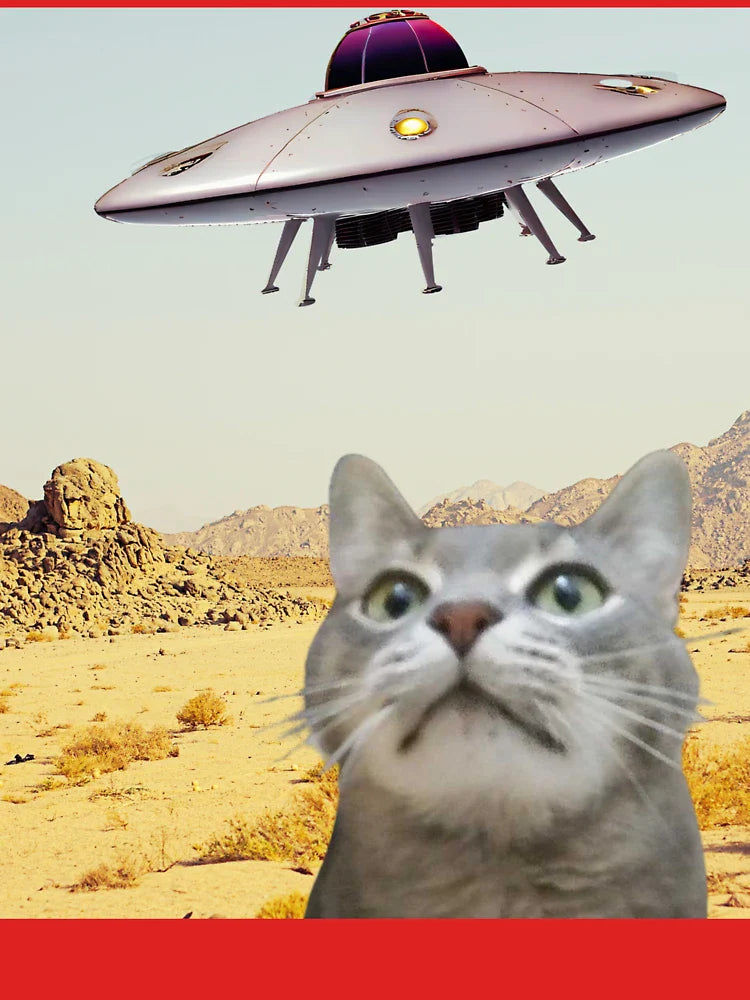 Flying Saucer Feline Fun Classic T-Shirt