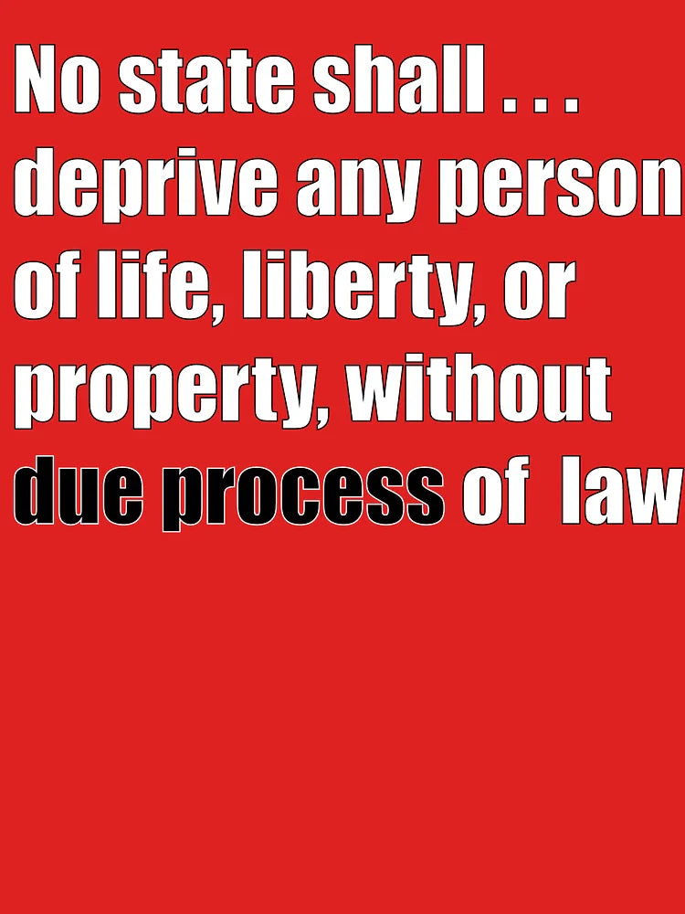 Due Process Clause Classic T-Shirt