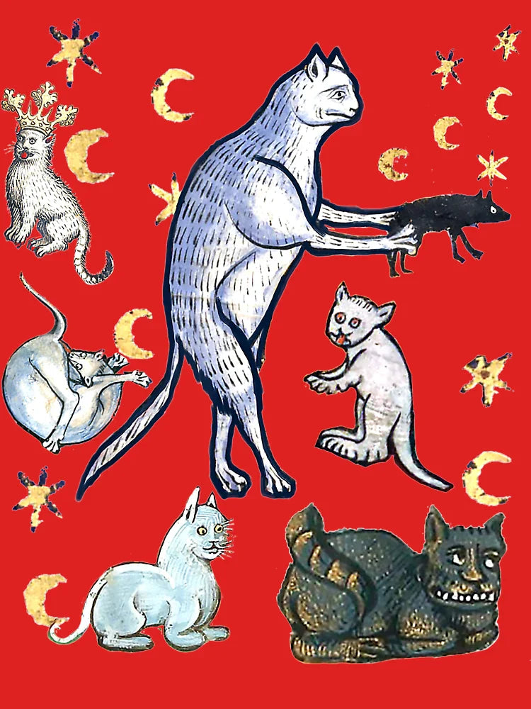 UGLY MEDIEVAL CATS Merch Classic T-Shirt