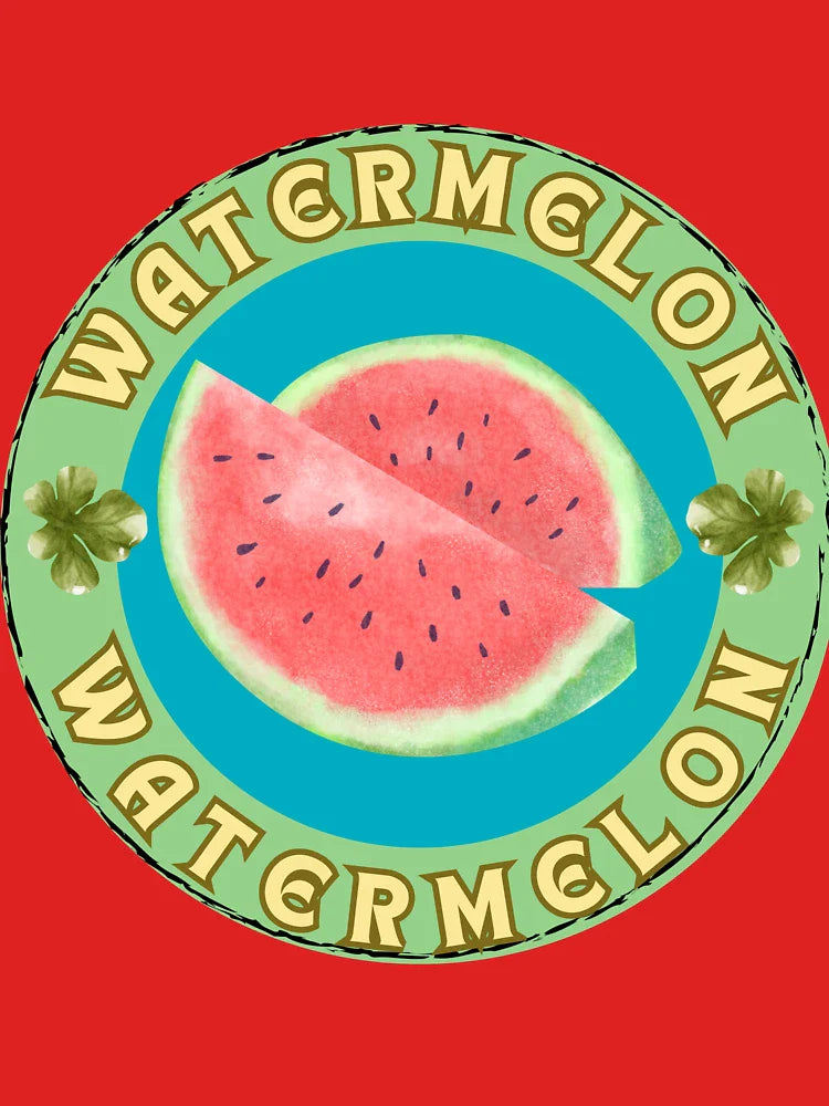 Aesthetic Watermelon Art – Retro Fruitcore Summer Classic T-Shirt