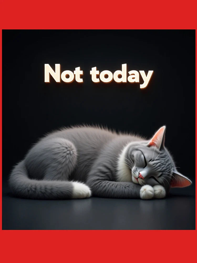 Not today sleeping cat Classic T-Shirt