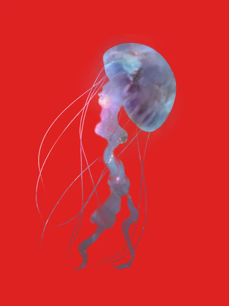 Pastel Jellyfish Classic T-Shirt