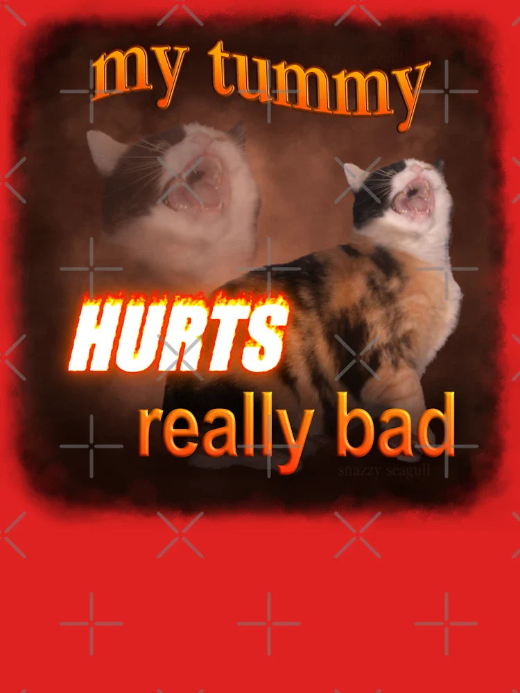 My Tummy Hurts Really Bad - Cat word art Classic T-Shirt