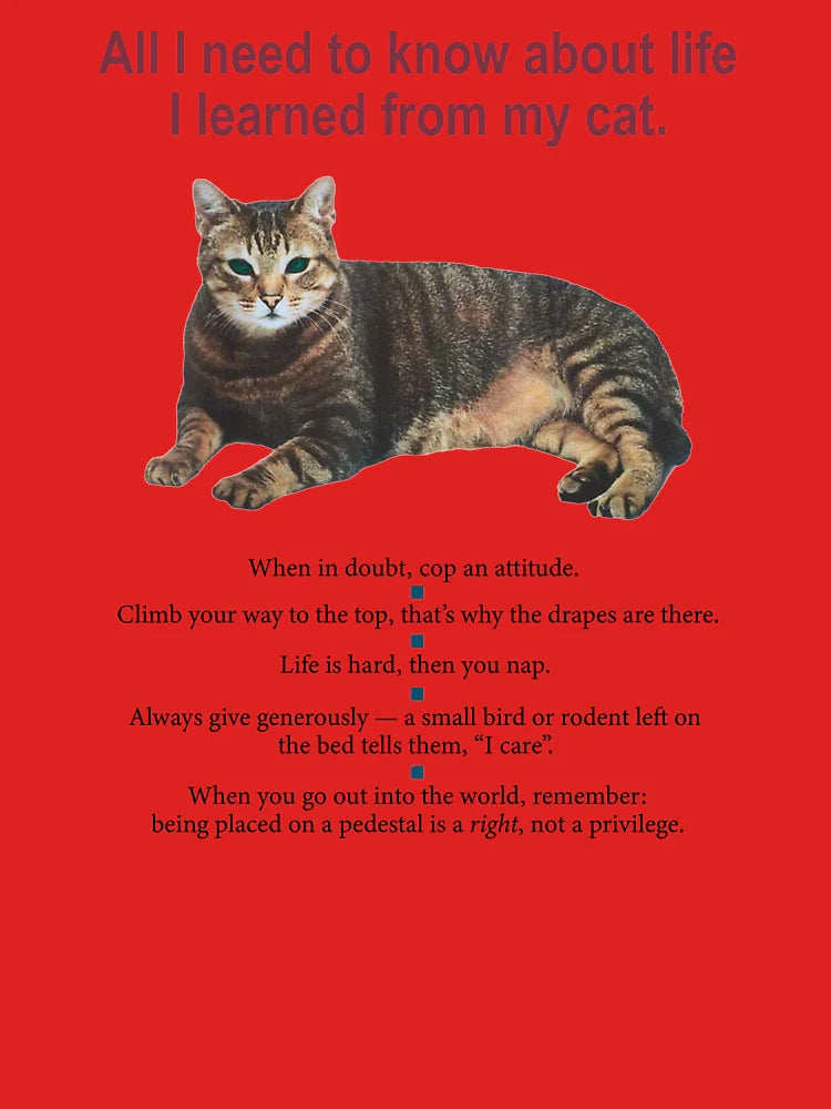 All I need to know about life I learned from my cat Classic T-Shirt