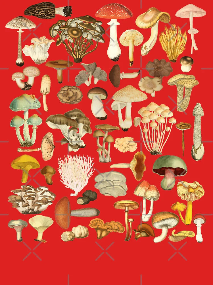 Mushroom Lover Botanical Fungi Plants Morel Psychedelic Mushroom Forager Mushroom Gift Classic T-Shirt
