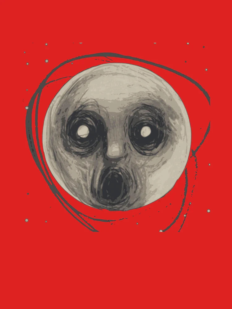 Steven wilson raven Classic T-Shirt